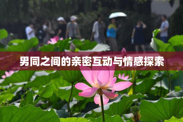 男同之间的亲密互动与情感探索