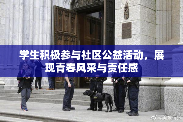 学生积极参与社区公益活动，展现青春风采与责任感