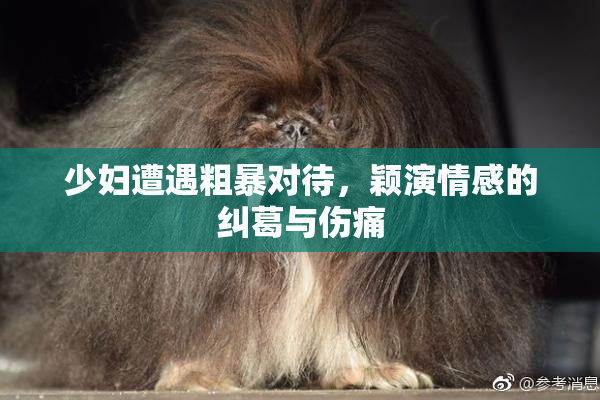 少妇遭遇粗暴对待，颖演情感的纠葛与伤痛
