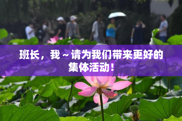 班长，我～请为我们带来更好的集体活动！