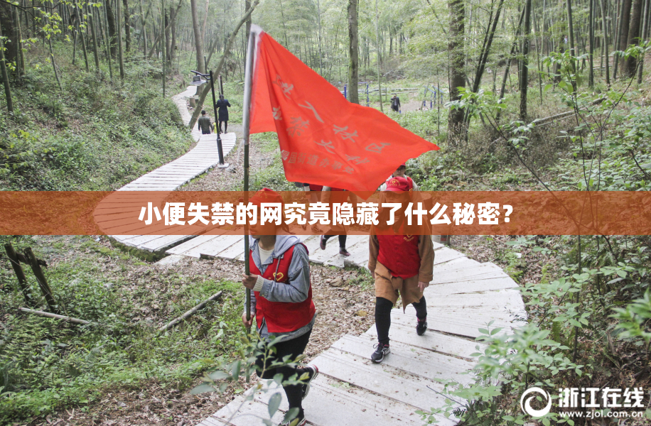 小便失禁的网究竟隐藏了什么秘密？