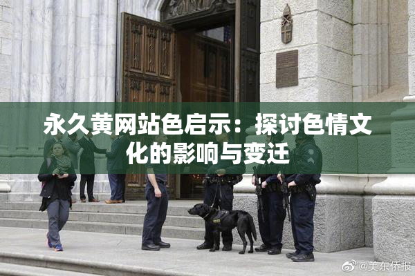 永久黄网站色启示：探讨色情文化的影响与变迁