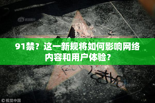91禁？这一新规将如何影响网络内容和用户体验？