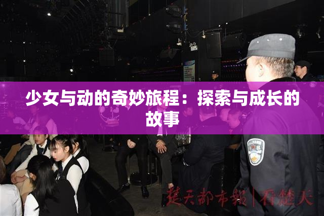 少女与动的奇妙旅程：探索与成长的故事