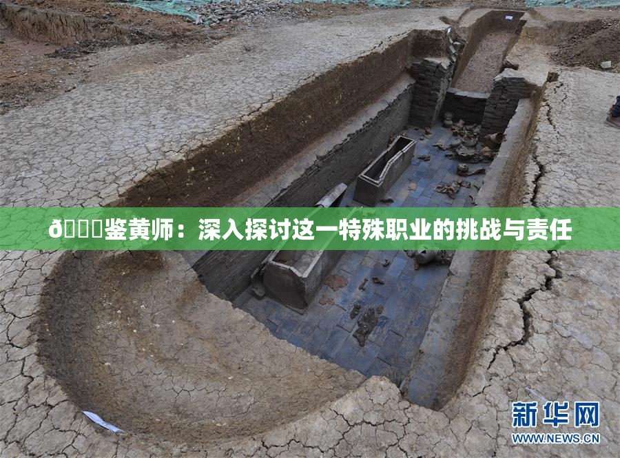 🔞鉴黄师：深入探讨这一特殊职业的挑战与责任