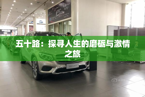 五十路：探寻人生的磨砺与激情之旅