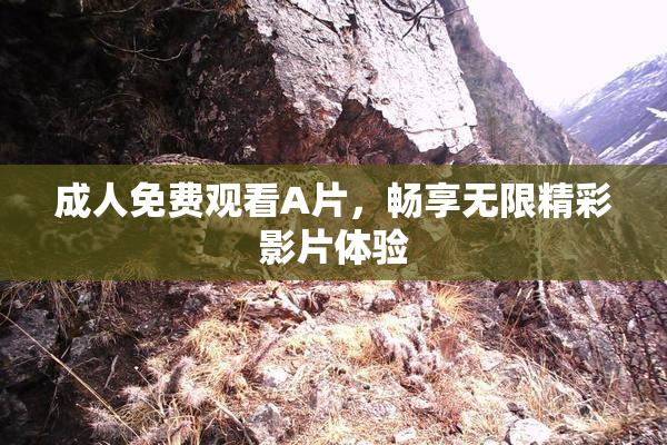 成人免费观看A片，畅享无限精彩影片体验