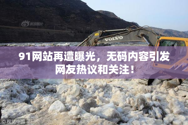 91网站再遭曝光，无码内容引发网友热议和关注！