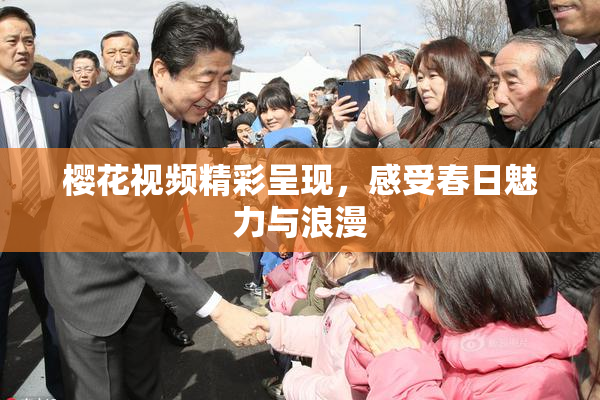 樱花视频精彩呈现，感受春日魅力与浪漫
