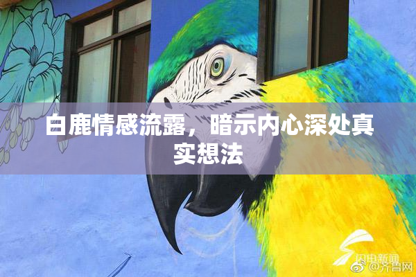 白鹿情感流露，暗示内心深处真实想法