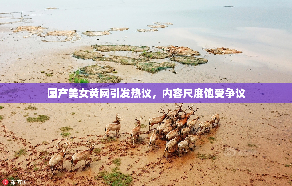 国产美女黄网引发热议，内容尺度饱受争议
