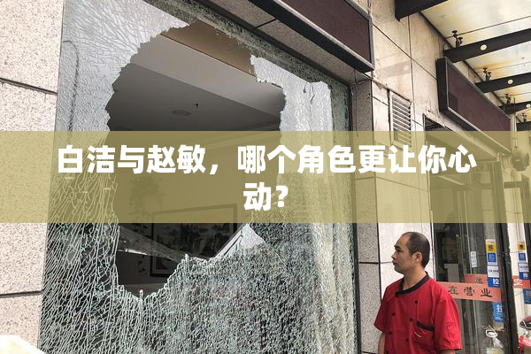 白洁与赵敏，哪个角色更让你心动？