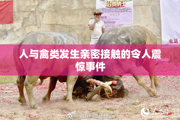 人与禽类发生亲密接触的令人震惊事件