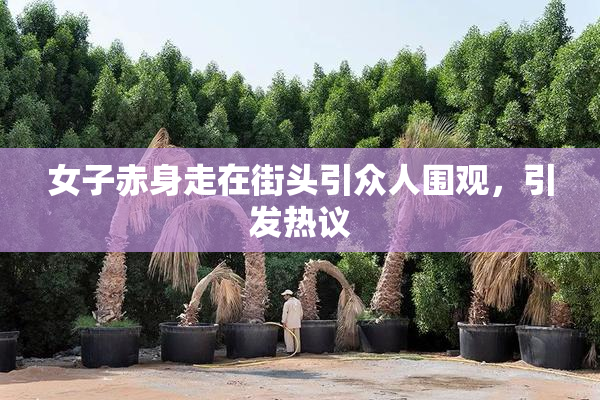 女子赤身走在街头引众人围观，引发热议
