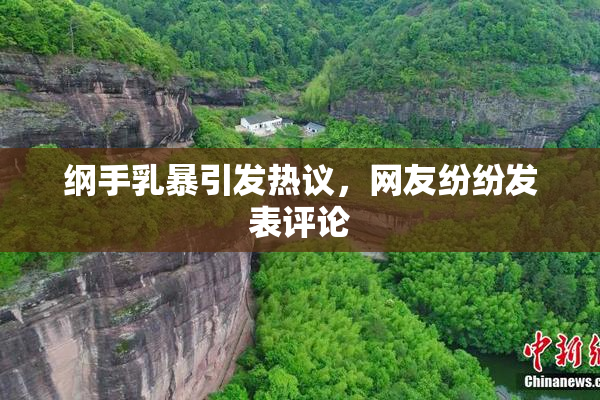 纲手乳暴引发热议，网友纷纷发表评论