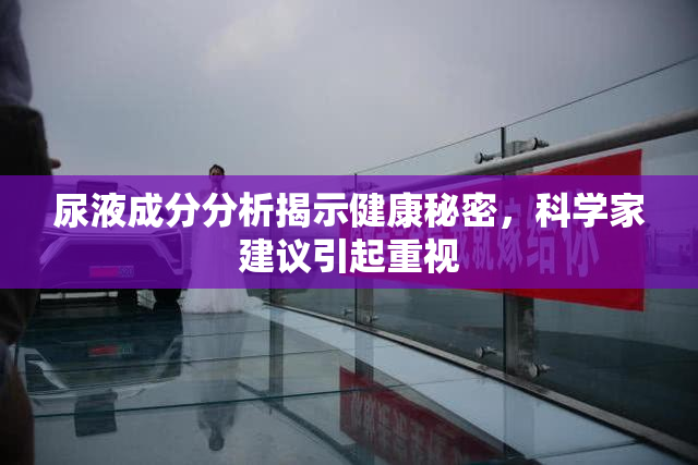 尿液成分分析揭示健康秘密，科学家建议引起重视