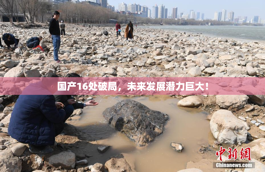 国产16处破局，未来发展潜力巨大！