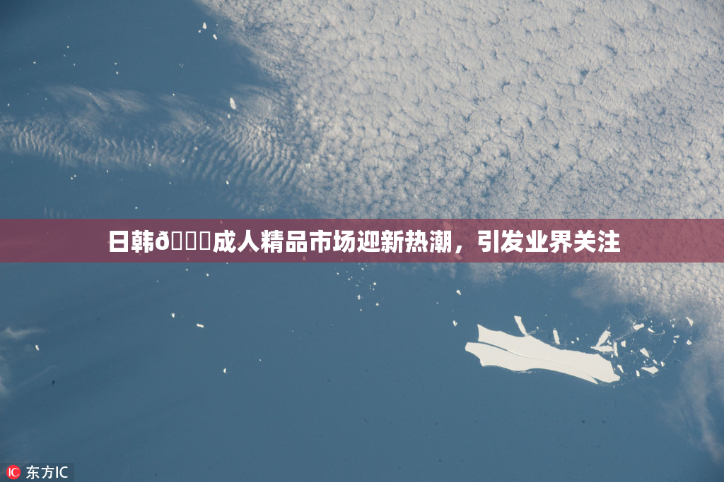日韩🔞成人精品市场迎新热潮，引发业界关注