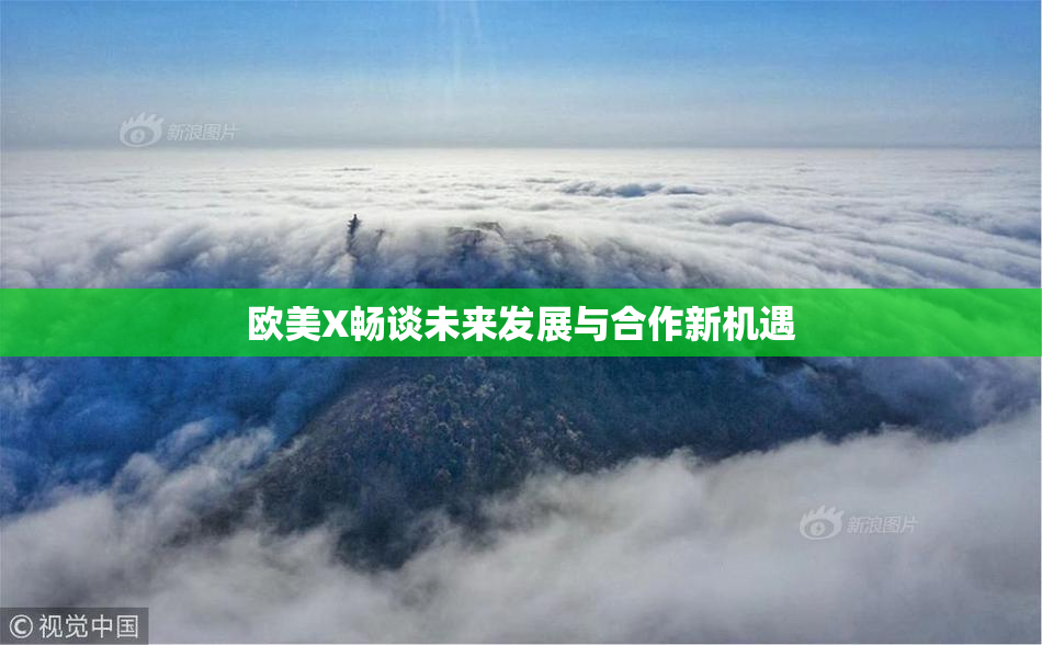 欧美X畅谈未来发展与合作新机遇