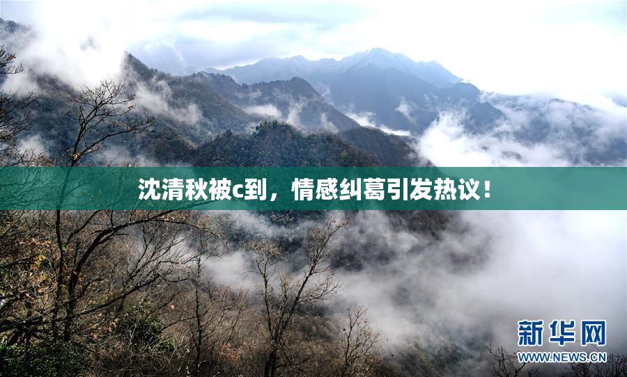 沈清秋被c到，情感纠葛引发热议！