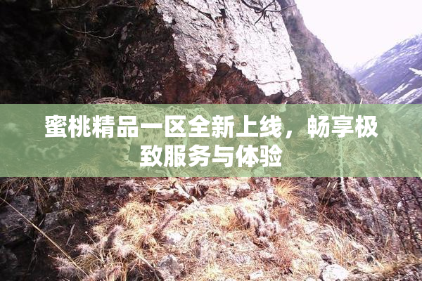 蜜桃精品一区全新上线，畅享极致服务与体验