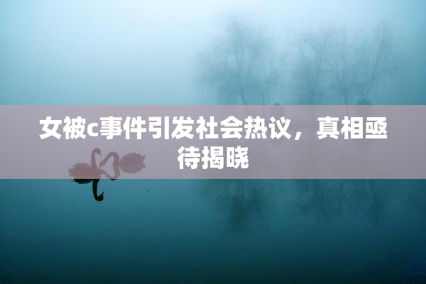 女被c事件引发社会热议，真相亟待揭晓