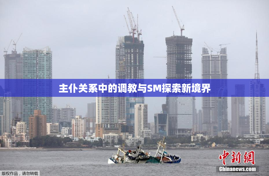 主仆关系中的调教与SM探索新境界