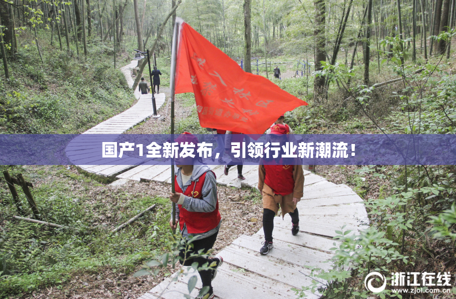 国产1全新发布，引领行业新潮流！