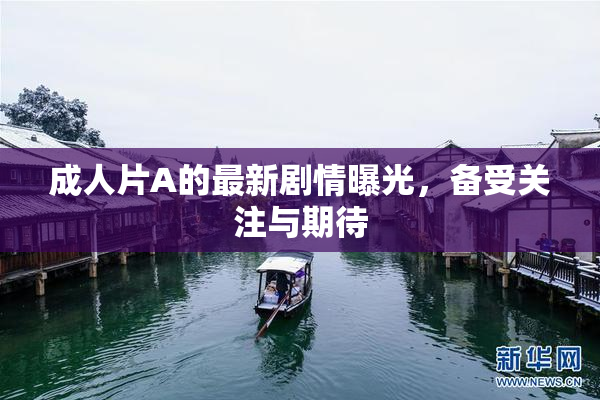 成人片A的最新剧情曝光，备受关注与期待