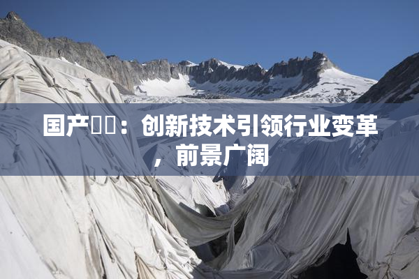 国产梱綁：创新技术引领行业变革，前景广阔