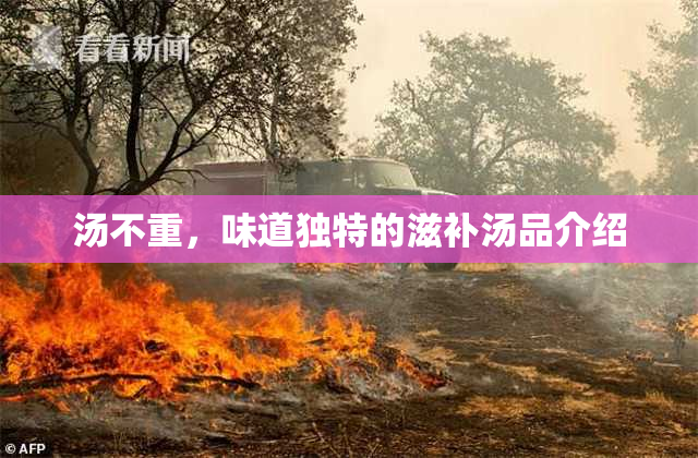 汤不重，味道独特的滋补汤品介绍