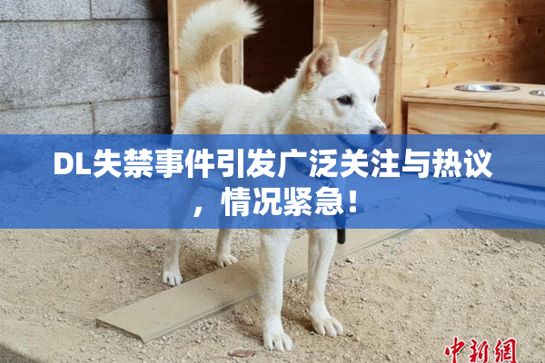 DL失禁事件引发广泛关注与热议，情况紧急！