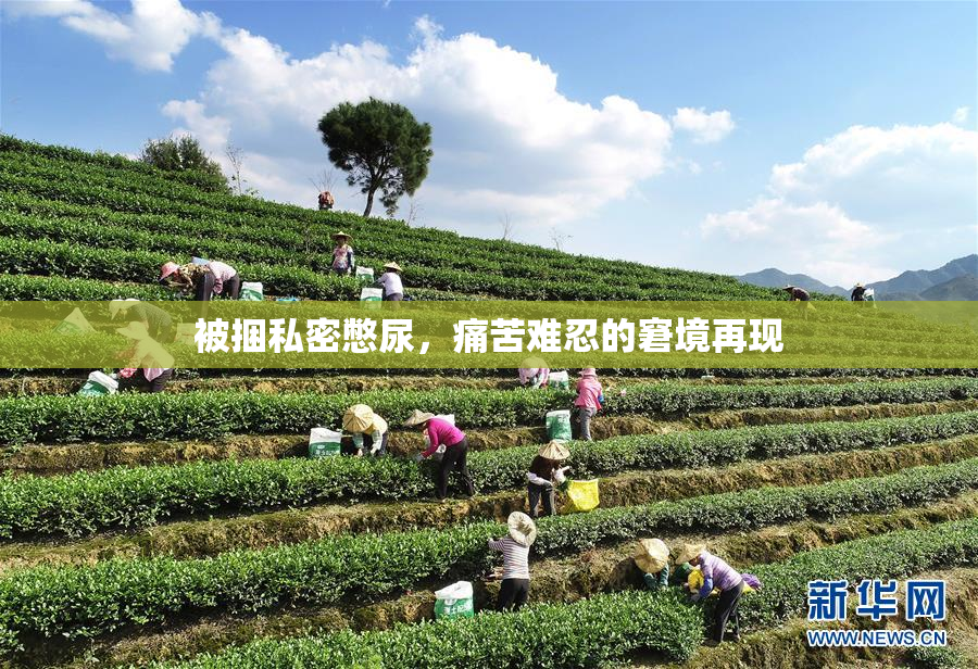 被捆私密憋尿，痛苦难忍的窘境再现