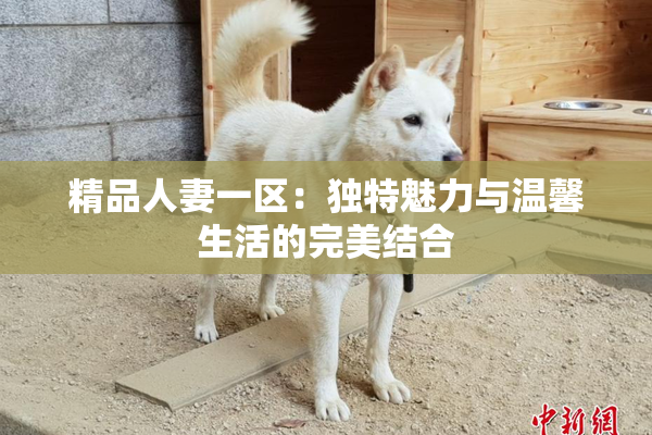 精品人妻一区：独特魅力与温馨生活的完美结合