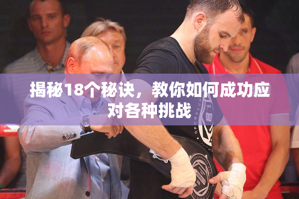 揭秘18个秘诀，教你如何成功应对各种挑战