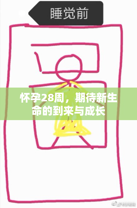 怀孕28周，期待新生命的到来与成长