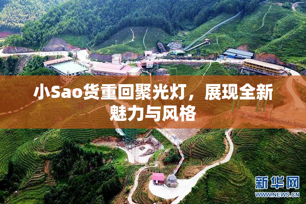 小Sao货重回聚光灯，展现全新魅力与风格
