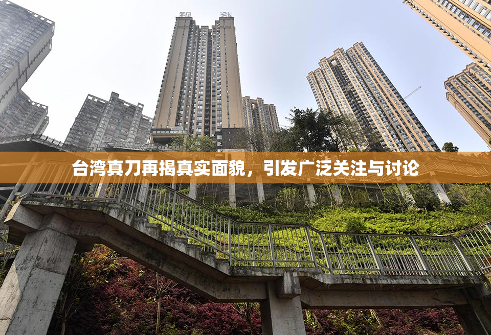 台湾真刀再揭真实面貌，引发广泛关注与讨论