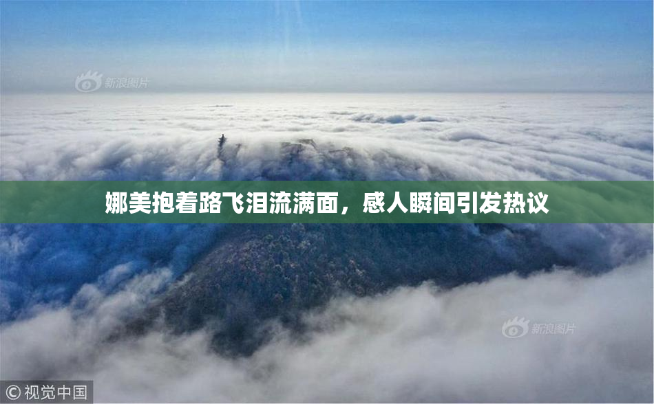 娜美抱着路飞泪流满面，感人瞬间引发热议