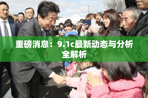 重磅消息：9.1c最新动态与分析全解析