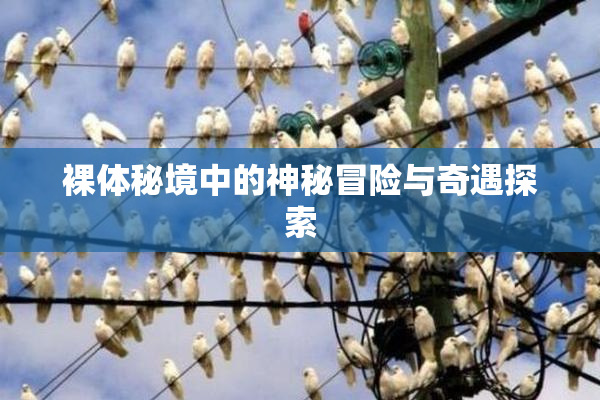 裸体秘境中的神秘冒险与奇遇探索