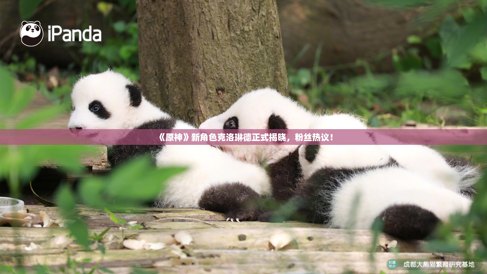 《原神》新角色克洛琳德正式揭晓，粉丝热议！