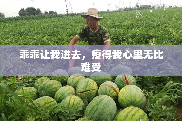 乖乖让我进去，疼得我心里无比难受