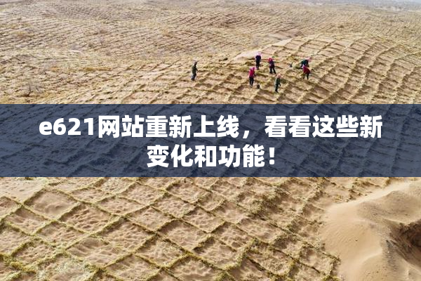 e621网站重新上线，看看这些新变化和功能！