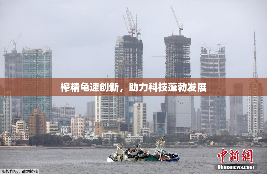 榨精龟速创新，助力科技蓬勃发展