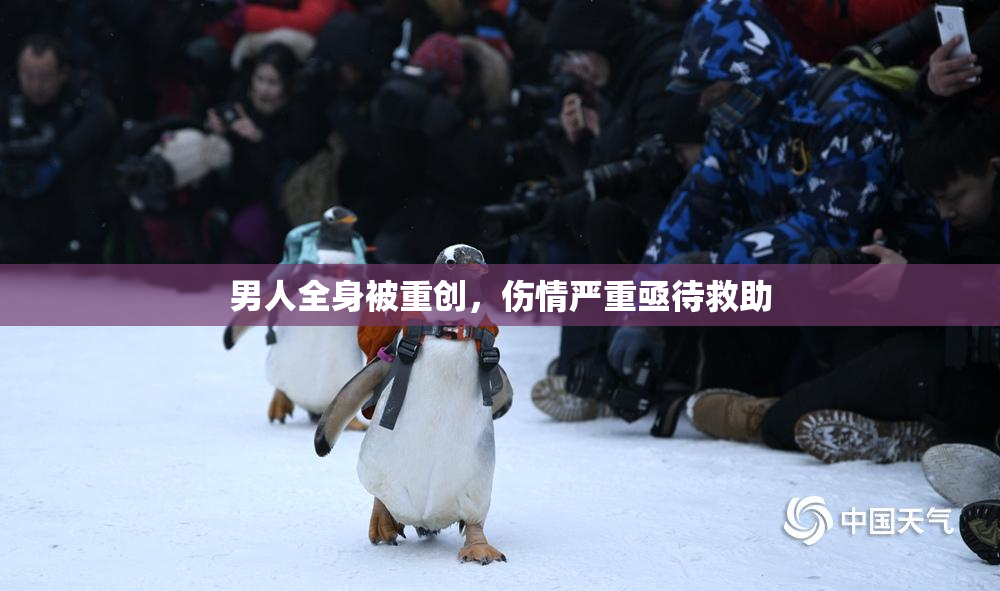 男人全身被重创，伤情严重亟待救助