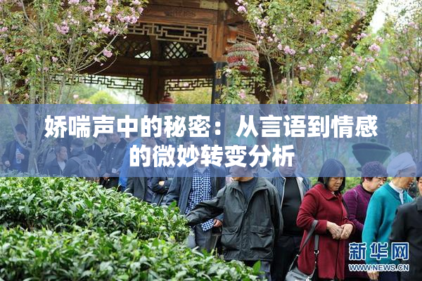 娇喘声中的秘密：从言语到情感的微妙转变分析