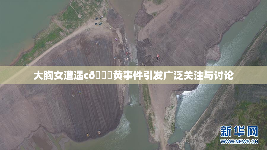 大胸女遭遇c🔞黄事件引发广泛关注与讨论