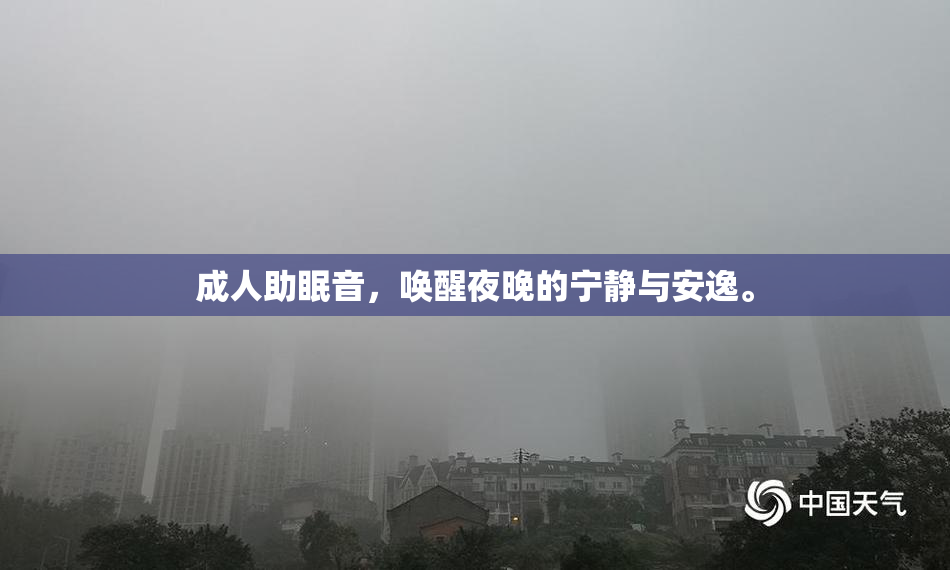 成人助眠音，唤醒夜晚的宁静与安逸。