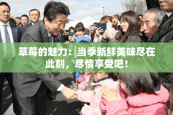 草莓的魅力：当季新鲜美味尽在此刻，尽情享受吧！